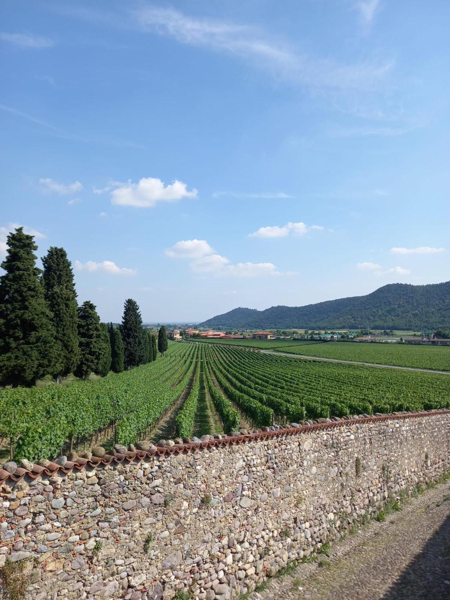 La Corte Del Bona - Vicino Alle Cantine E A Circa 15 Minuti Dal Lago Di Iseo - Apartment Ербуско Екстериор снимка